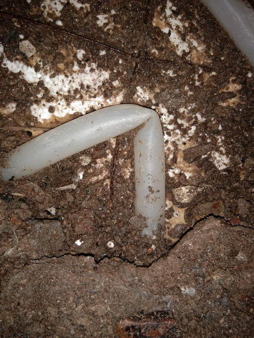 黟县堵点精准查找